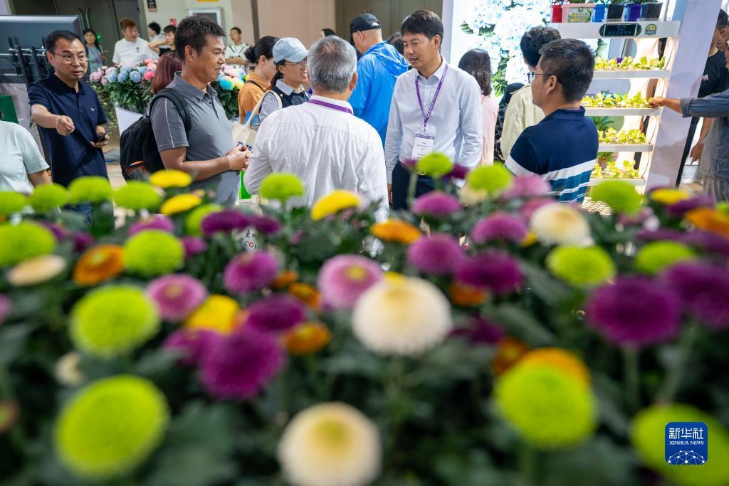 捕鱼达人3d电脑版激活码